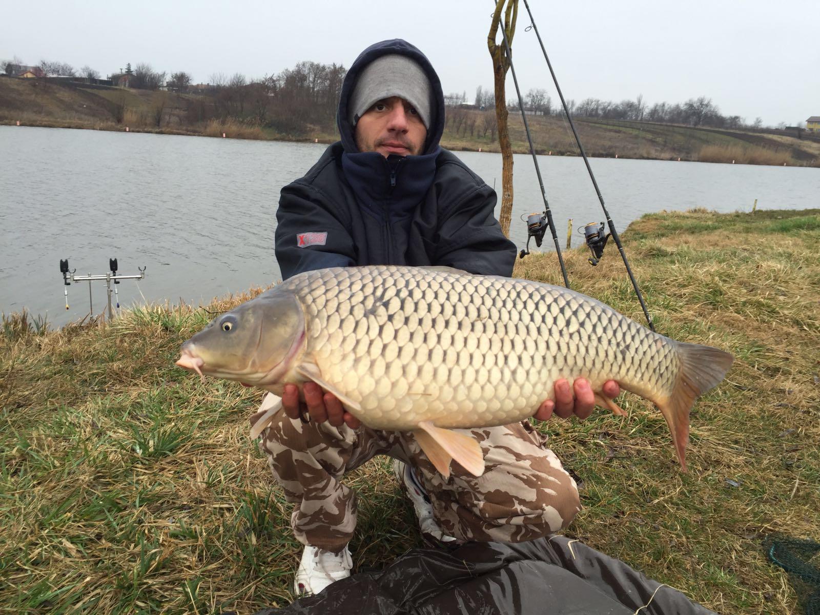 MV2 27-02-2016 - img-20160227-wa0019.jpg